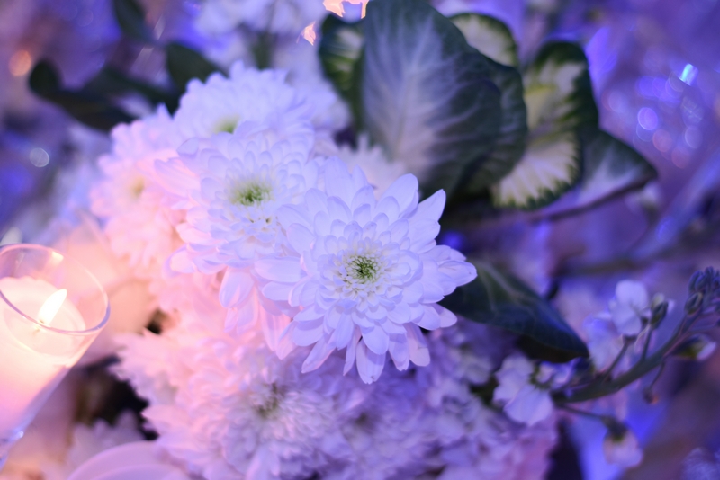 Wedding of Abbas Chamssedine and Manal Safa Part2